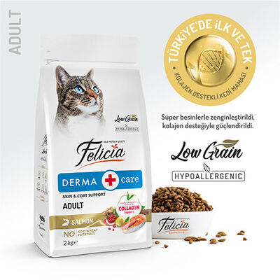 Felicia Hypoallergenic Somonlu Düşük Tahıllı Yetişkin Kedi Maması 2 Kg 
