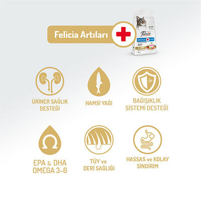 Felicia Hypoallergenic Somonlu Düşük Tahıllı Yetişkin Kedi Maması 2 Kg 