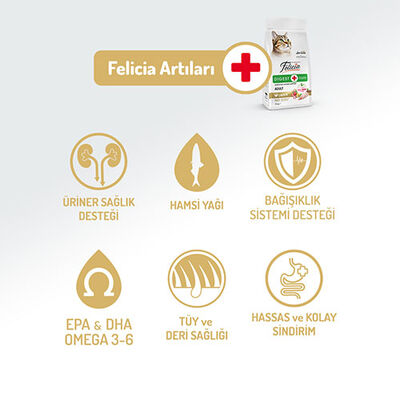 Felicia Hypoallergenic Tavuklu Düşük Tahıllı Yetişkin Kedi Maması 12 Kg 