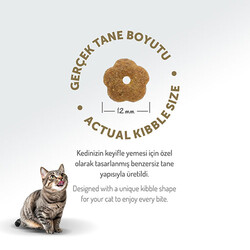 Felicia Hypoallergenic Tavuklu Düşük Tahıllı Yetişkin Kedi Maması 2 Kg - Thumbnail