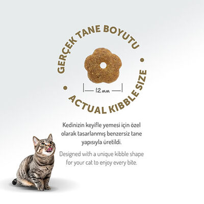 Felicia Hypoallergenic Tavuklu Düşük Tahıllı Yetişkin Kedi Maması 2 Kg 