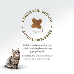 Felicia Hypoallergenic Tavuklu ve Hamsili Düşük Tahıllı Yavru Kedi Maması 12 Kg - Thumbnail