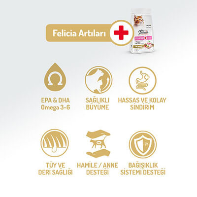 Felicia Hypoallergenic Tavuklu ve Hamsili Düşük Tahıllı Yavru Kedi Maması 12 Kg 