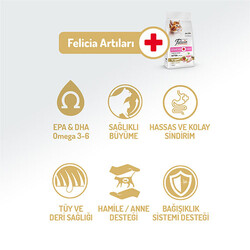 Felicia Hypoallergenic Tavuklu ve Hamsili Düşük Tahıllı Yavru Kedi Maması 2 Kg - Thumbnail