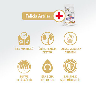 Felicia Hypoallergenic Urinary Somonlu Düşük Tahıllı Kısırlaştırılmış Kedi Maması 12 Kg 