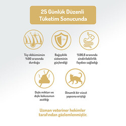 Felicia Hypoallergenic Urinary Somonlu Düşük Tahıllı Kısırlaştırılmış Kedi Maması 12 Kg - Thumbnail