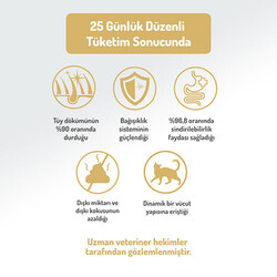 Felicia Hypoallergenic Urinary Somonlu Düşük Tahıllı Kısırlaştırılmış Kedi Maması 2 Kg - Thumbnail