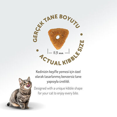 Felicia Hypoallergenic Urinary Somonlu Düşük Tahıllı Kısırlaştırılmış Kedi Maması 2 Kg  Felicia Hypoallergenic Urinary Somonlu Düşük Tahıllı Kısırlaştırılmış Kedi Maması 2 Kg