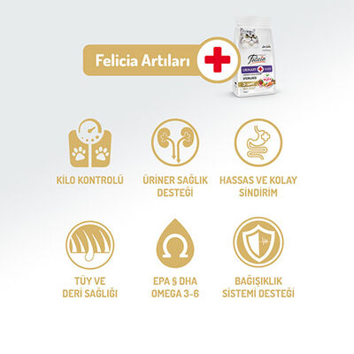 Felicia Hypoallergenic Urinary Somonlu Düşük Tahıllı Kısırlaştırılmış Kedi Maması 2 Kg 
