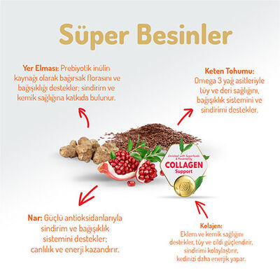 Felicia Hypoallergenic Urinary Somonlu Düşük Tahıllı Kısırlaştırılmış Kedi Maması 2 Kg 