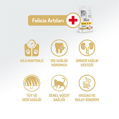Felicia HypoAllergenic Urinary Sterilised +7 Tavuklu Düşük Tahıllı Kısırlaştırılmış Yaşlı Kedi Maması 12 Kg 