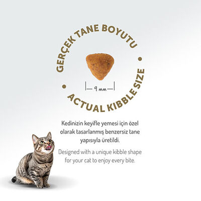 Felicia HypoAllergenic Urinary Sterilised +7 Tavuklu Düşük Tahıllı Kısırlaştırılmış Yaşlı Kedi Maması 12 Kg 