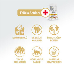 Felicia HypoAllergenic Urinary Sterilised +7 Tavuklu Düşük Tahıllı Kısırlaştırılmış Yaşlı Kedi Maması 12 Kg - Thumbnail