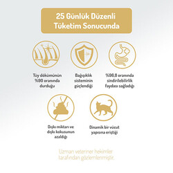 Felicia HypoAllergenic Urinary Sterilised +7 Tavuklu Düşük Tahıllı Kısırlaştırılmış Yaşlı Kedi Maması 12 Kg - Thumbnail