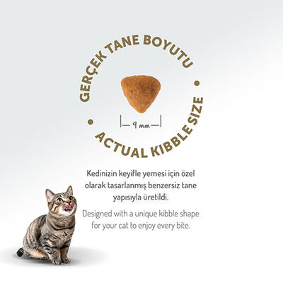 Felicia HypoAllergenic Urinary Sterilised +7 Tavuklu Düşük Tahıllı Kısırlaştırılmış Yaşlı Kedi Maması 2 Kg 