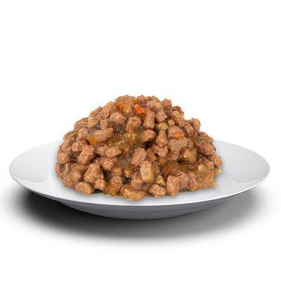 Felicia Pouch Jelly Tavuklu ve Taurinli Tahılsız Yavru Kedi Konservesi 85 Gr 