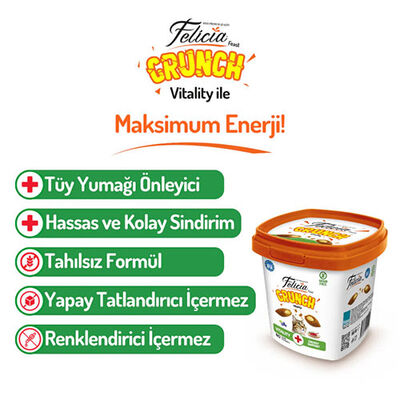 Felicia Vitality Crunch Sığır Etli Yaban Mersinli ve Sütlü Kedi Ödül Maması 100 Gr 
