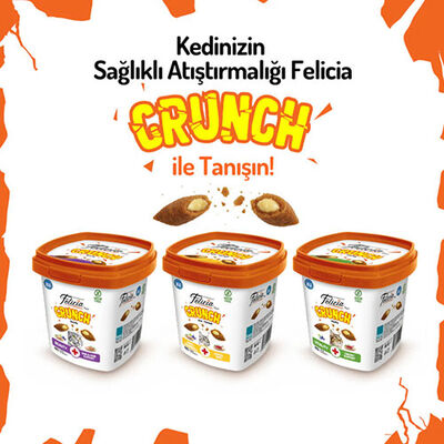 Felicia Vitality Crunch Sığır Etli Yaban Mersinli ve Sütlü Kedi Ödül Maması 100 Gr 