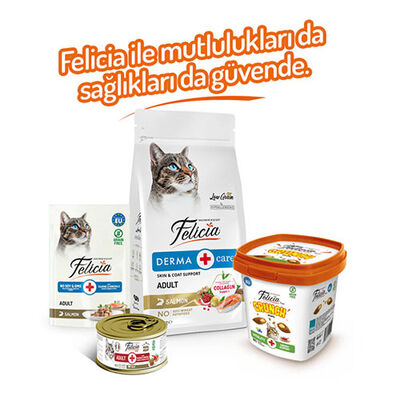 Felicia Vitality Crunch Sığır Etli Yaban Mersinli ve Sütlü Kedi Ödül Maması 100 Gr 