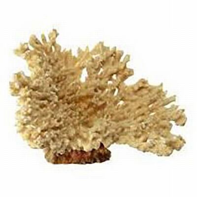 Ferplast 9132 Coral Beige Blue Mercan Akvaryum Dekoru Bej 