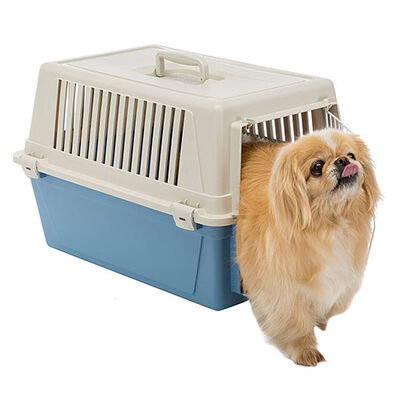 Ferplast Atlas 30 Kedi ve Küçük Irk Köpek Taşıma Kabı 40x60x38 Cm Mavi 