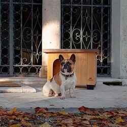 Ferplast Baita 60 Ahşap Köpek Kulübesi 58,5x73,5x54,5 Cm - Thumbnail