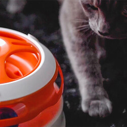 Ferplast Vertigo Toplu Labirent Kedi Oyuncağı 24x36,5 Cm - Thumbnail
