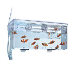 Fluval Askı Plastik Büyük Yavruluk 26x14x12 Cm - Thumbnail