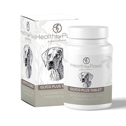 Health for Paws - Health For Paws GlycoPlus Köpek Eklem Destek Tableti