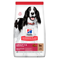 Hills Science Plan - Hill’s SCIENCE PLAN Adult Medium Lamb&Rice Orta Irk Kuzulu Yetişkin Köpek Maması