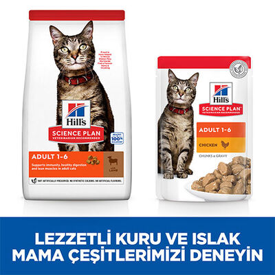 Hill’s SCIENCE PLAN Adult Lamb Kuzulu Yetişkin Kedi Maması 1,5 Kg 