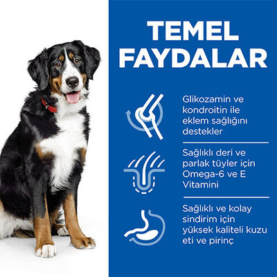 Hill’s SCIENCE PLAN Adult Large Breed Lamb & Rice Büyük Irk Kuzulu Yetişkin Köpek Maması 14 Kg 