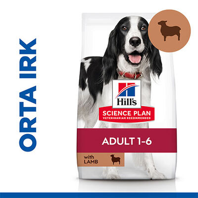 Hill’s SCIENCE PLAN Adult Medium Lamb & Rice Orta Irk Kuzulu Yetişkin Köpek Maması 14 Kg 