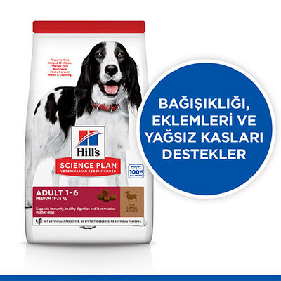 Hill’s SCIENCE PLAN Adult Medium Lamb & Rice Orta Irk Kuzulu Yetişkin Köpek Maması 14 Kg 