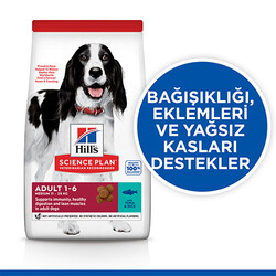 Hill’s SCIENCE PLAN Adult Medium Tuna & Rice Orta Irk Ton Balıklı Yetişkin Köpek Maması 12 Kg - Thumbnail