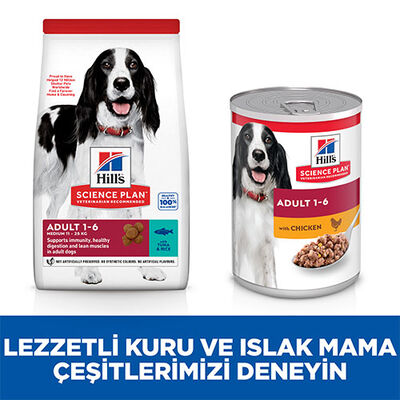 Hill’s SCIENCE PLAN Adult Medium Tuna & Rice Orta Irk Ton Balıklı Yetişkin Köpek Maması 12 Kg 