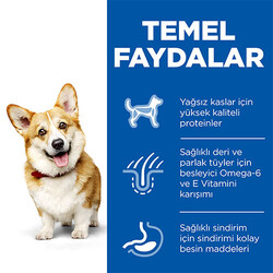Hill’s SCIENCE PLAN Adult Small & Mini Chicken Küçük Irk Tavuklu Yetişkin Köpek Maması 3 Kg - Thumbnail
