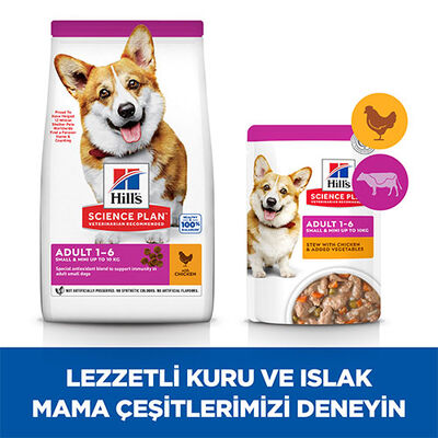 Hill’s SCIENCE PLAN Adult Small & Mini Chicken Küçük Irk Tavuklu Yetişkin Köpek Maması 3 Kg 