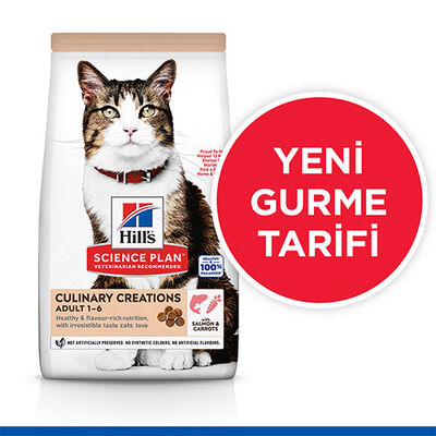 Hill’s SCIENCE PLAN Culinary Creations Somonlu ve Havuçlu Yetişkin Kedi Maması 10 Kg 