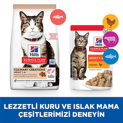 Hill’s SCIENCE PLAN Culinary Creations Somonlu ve Havuçlu Yetişkin Kedi Maması 10 Kg 