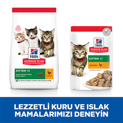 Hill’s SCIENCE PLAN Kitten Tavuklu Yavru Kedi Maması 3 Kg - Thumbnail