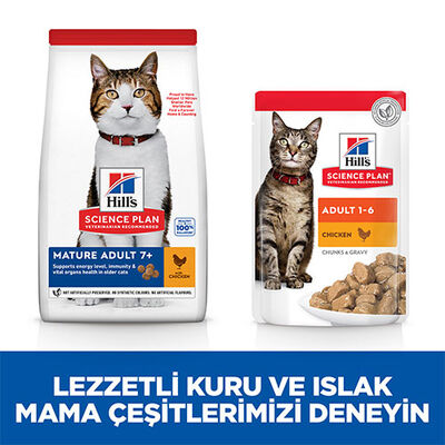Hill’s SCIENCE PLAN Mature Adult 7+ Tavuklu Yaşlı Kedi Maması 1,5 Kg 