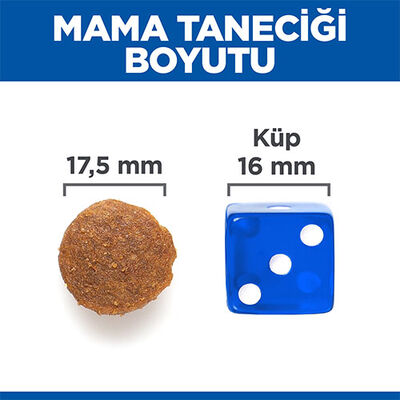 Hill’s SCIENCE PLAN No Grain Adult Large Tavuklu Tahılsız Yetişkin Köpek Maması 12 Kg 