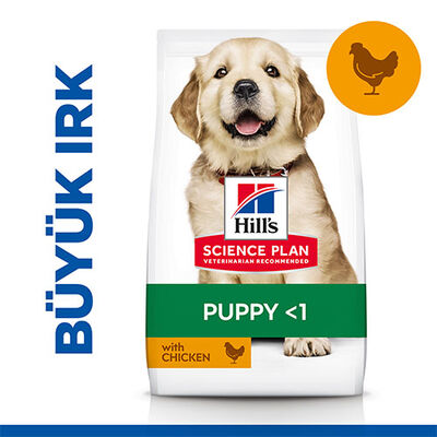 Hill’s SCIENCE PLAN Puppy Large Breed Chicken Büyük Irk Tavuklu Yavru Köpek Maması 2,5 Kg 