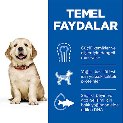 Hill’s SCIENCE PLAN Puppy Large Breed Chicken Büyük Irk Tavuklu Yavru Köpek Maması 2,5 Kg 