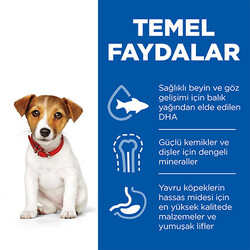 Hill’s SCIENCE PLAN Puppy Small & Mini Chicken Küçük Irk Tavuklu Yavru Köpek Maması 1,5 Kg - Thumbnail