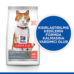 Hill’s SCIENCE PLAN Sterilised Somon Balıklı Kısırlaştırılmış Kedi Maması 10 Kg - Thumbnail