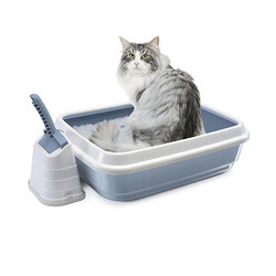 İmac - İmac Duo Cat Açık Kedi Tuvaleti Mavi 