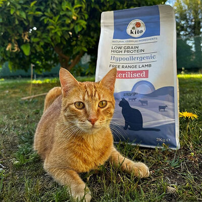 Kito Doğal Besi Kuzu Etli Kısır Kedi Maması 2 Kg 