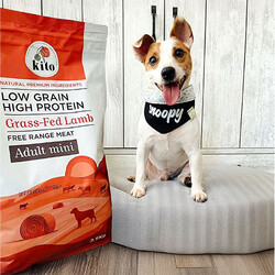 Kito Doğal Besi Kuzu Etli Mini Irk Yetişkin Köpek Maması 2,5 Kg - Thumbnail